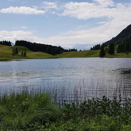 Tauglerei Enzian In Den Zauberbergen * Sankt Koloman