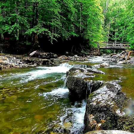 Tauglerei Enzian In Den Zauberbergen Apartman Sankt Koloman