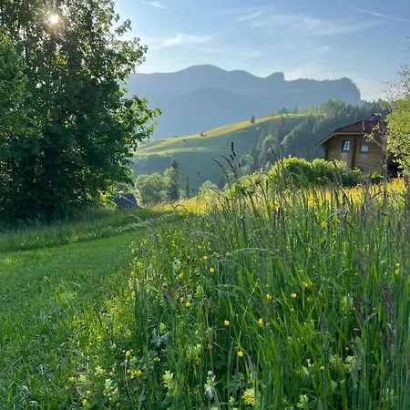 Tauglerei Enzian In Den Zauberbergen 公寓 *