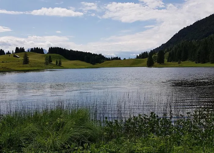 Tauglerei Enzian In Den Zauberbergen * Sankt Koloman