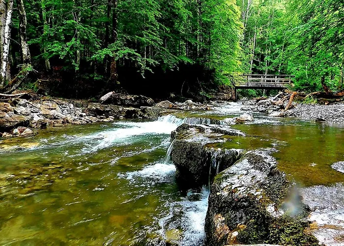 Tauglerei Enzian In Den Zauberbergen Apartment Sankt Koloman