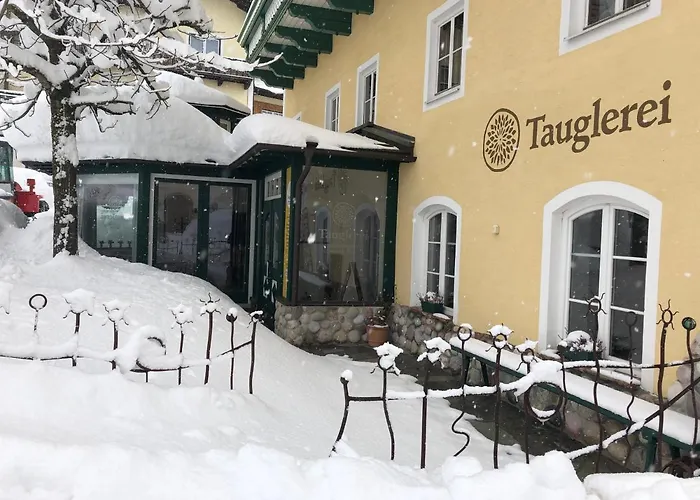 Tauglerei Enzian In Den Zauberbergen *
